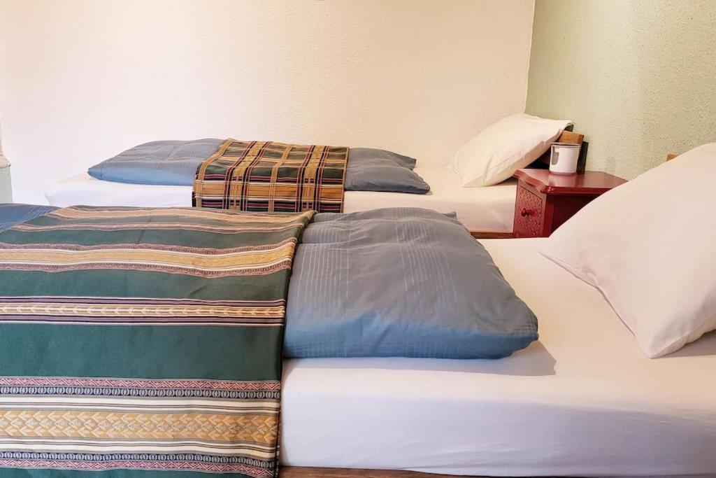 Colourful 2.5 Bedroom With Large Balcony & Garden. Prinzersdorf Extérieur photo