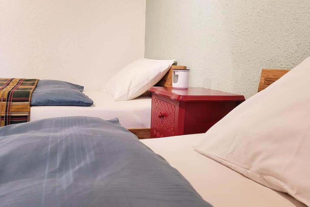 Colourful 2.5 Bedroom With Large Balcony & Garden. Prinzersdorf Extérieur photo