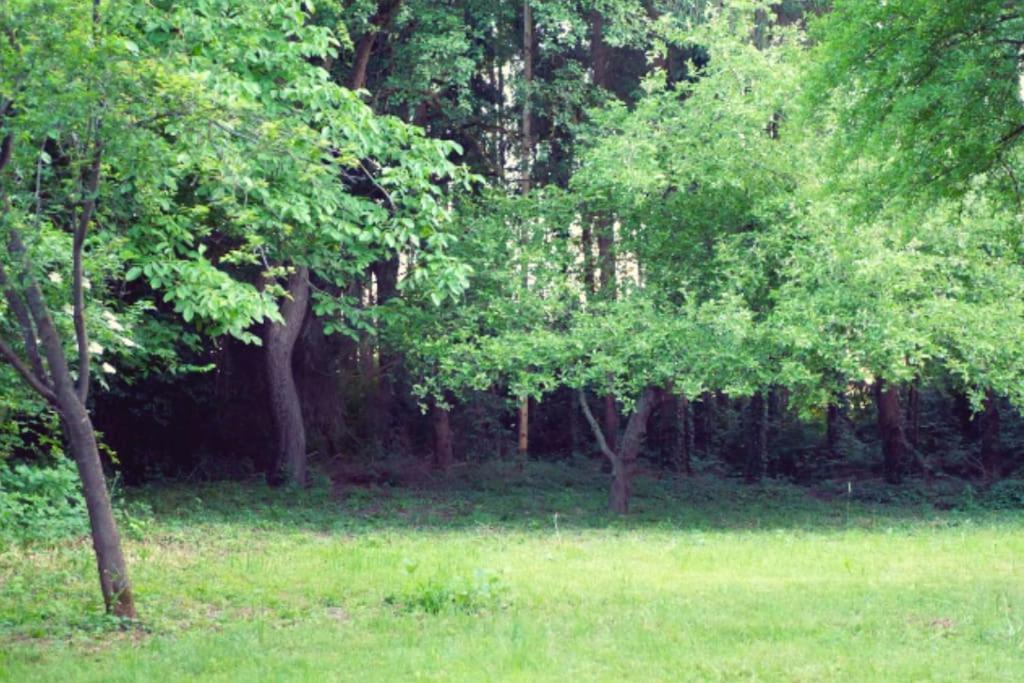 Colourful 2.5 Bedroom With Large Balcony & Garden. Prinzersdorf Extérieur photo