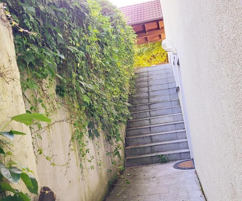 Colourful 2.5 Bedroom With Large Balcony & Garden. Prinzersdorf Extérieur photo