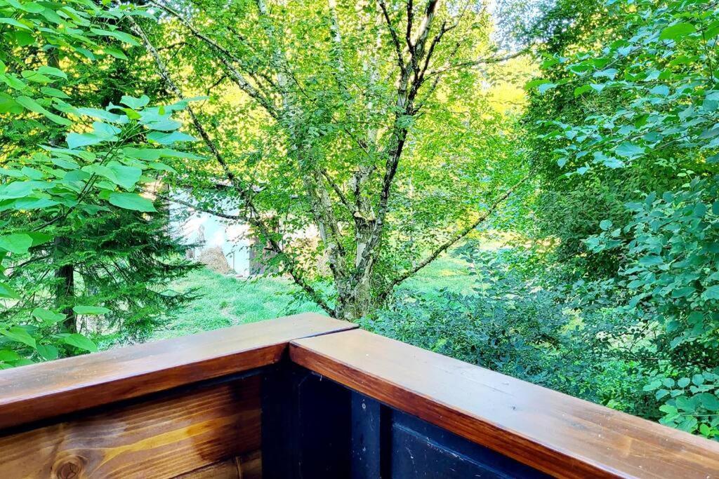 Colourful 2.5 Bedroom With Large Balcony & Garden. Prinzersdorf Extérieur photo